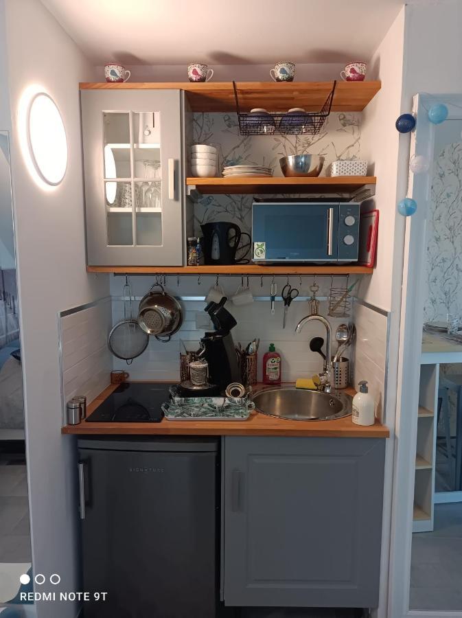 Tres Beau Studio Climatisation, Trois Etoiles, Parking A Velo, Velos En Option, Parking Prive Jardin Montargis Exterior photo
