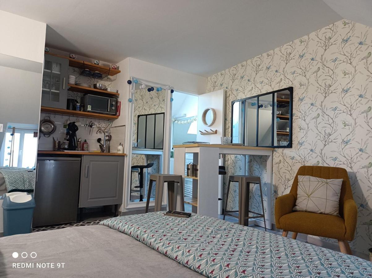 Tres Beau Studio Climatisation, Trois Etoiles, Parking A Velo, Velos En Option, Parking Prive Jardin Montargis Exterior photo