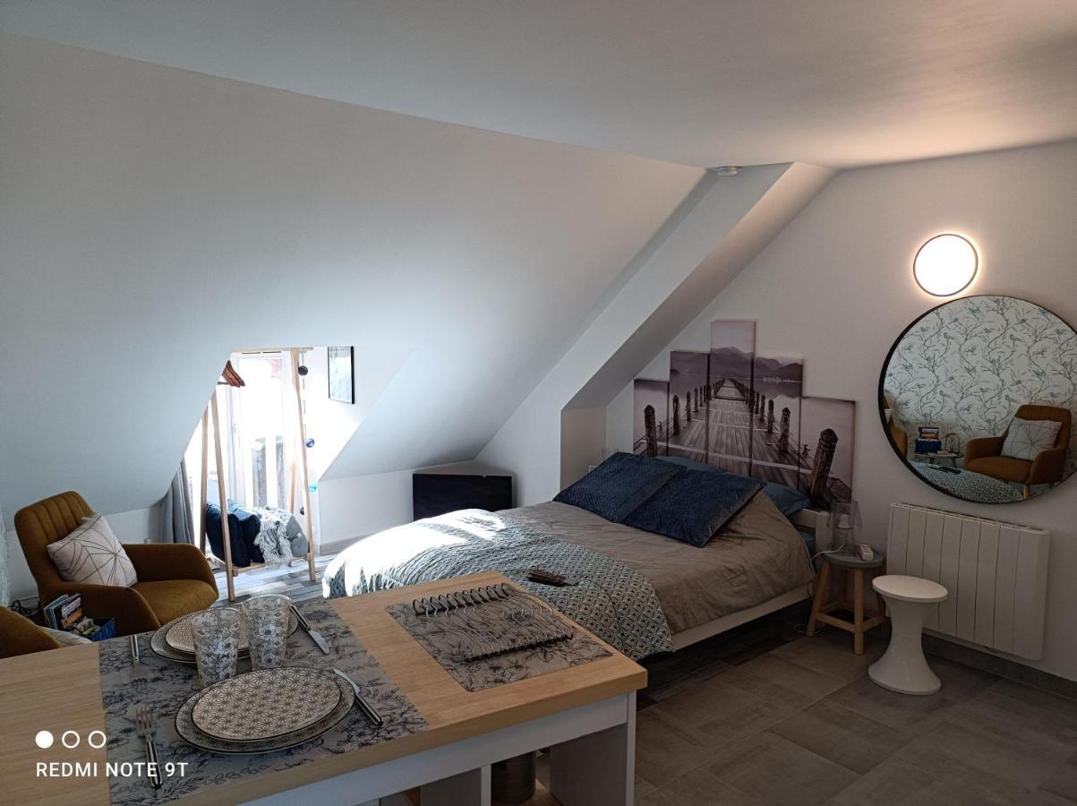 Tres Beau Studio Climatisation, Trois Etoiles, Parking A Velo, Velos En Option, Parking Prive Jardin Montargis Exterior photo